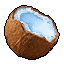 Fruit_Coconut_Icon.png