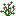 red-clover.png